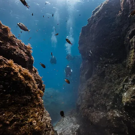 Casa Azul Montecastillo L7 * 科斯塔卡莱塔